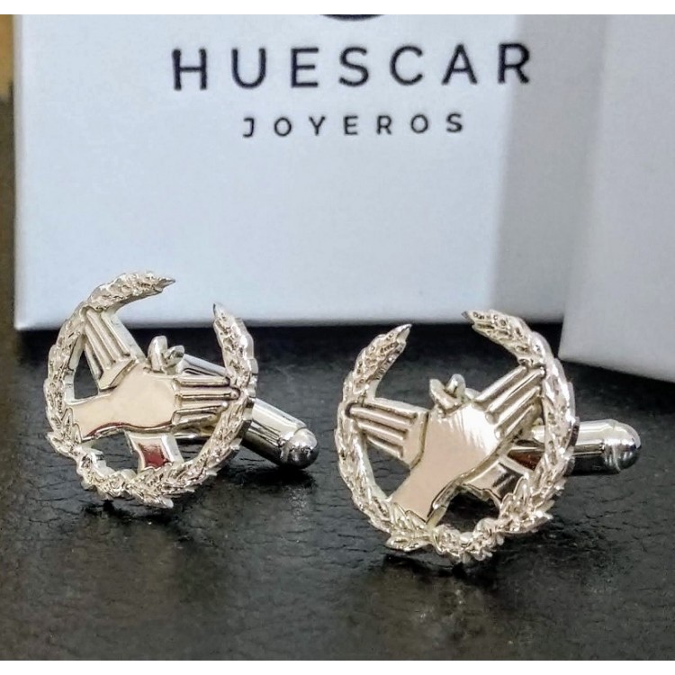 Gemelos insignia Fisioterapia en Plata de Ley