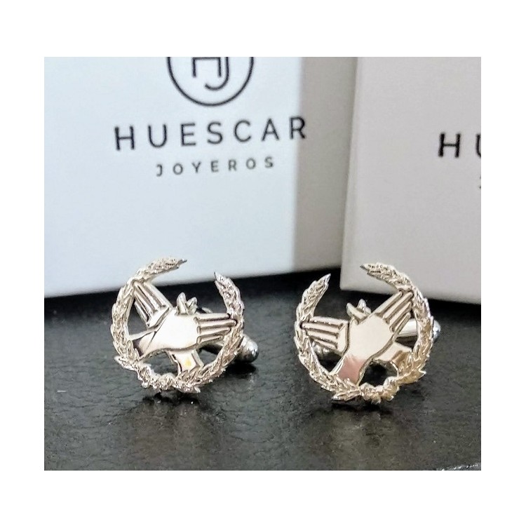 Gemelos insignia Fisioterapia en Plata de Ley