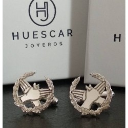 Gemelos insignia Fisioterapia en Plata de Ley