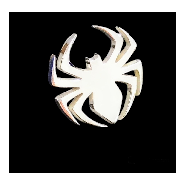 Pin araña en plata de ley