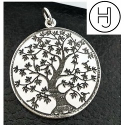 Medallas árbol de la vida y nombres en plata de ley (cadena incluida)