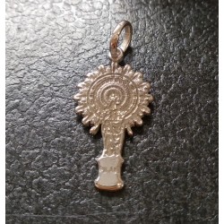 medalla virgen del pilar