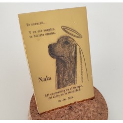 ESCUDOS , LOGOS O PLACAS GRABADAS PARA ENMARCAR EN PLATA DE LEY POR ENCARGO PREVIO