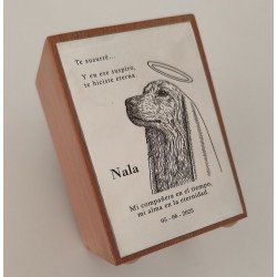 ESCUDOS , LOGOS O PLACAS GRABADAS PARA ENMARCAR EN PLATA DE LEY POR ENCARGO PREVIO