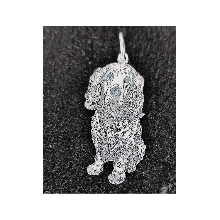 Colgante mascota personalizado en plata de ley