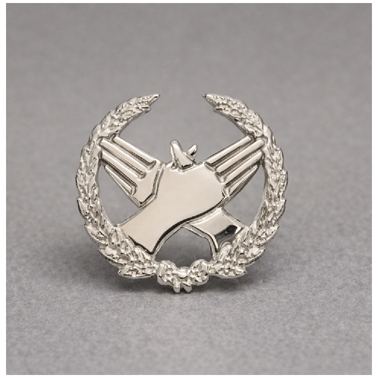 Insignia de fisioterapia plata de ley