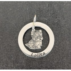 Colgante dibujo dentro de aro grabable plata de ley